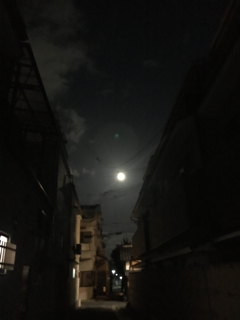 f0363168_22052336.png