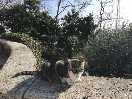 違和感のあるサンジミの風景_a0136671_00372691.jpg