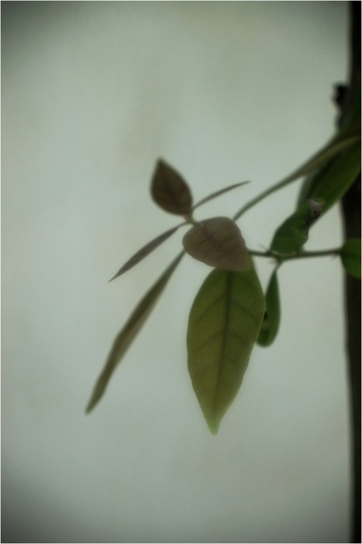 c0168172_17434337.jpg