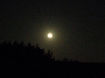 Spring has come！at full moon***_e0290872_21533405.jpg