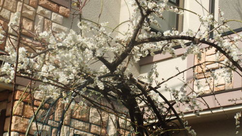 f0253572_14272369.jpg