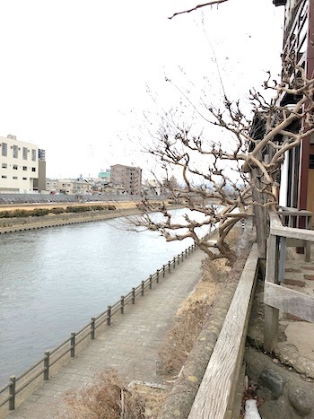今年もオガール紫波へ 盛岡の街探索1_a0191183_09204780.jpeg