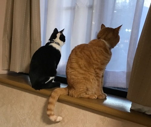 a0216583_23501254.jpeg