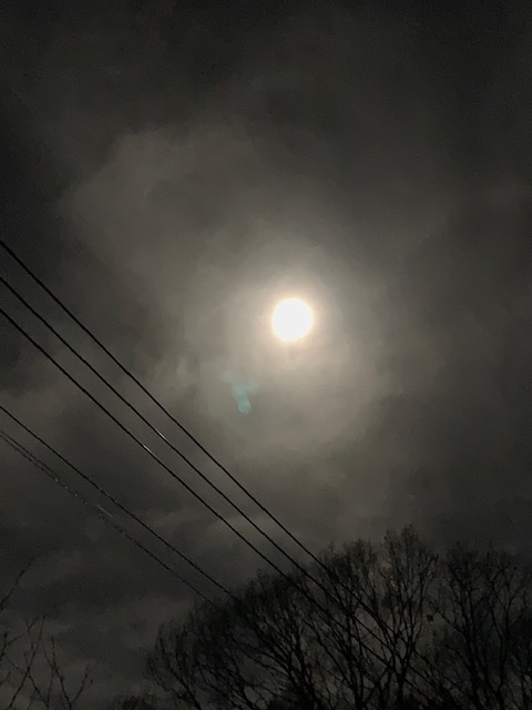 e0008887_06153864.jpg