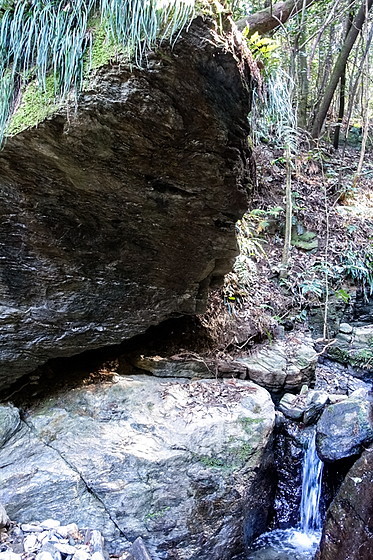 e0176993_09490131.jpg