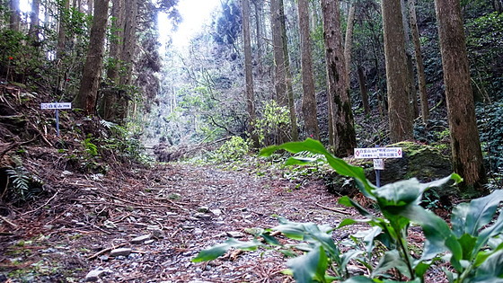 e0176993_09491011.jpg