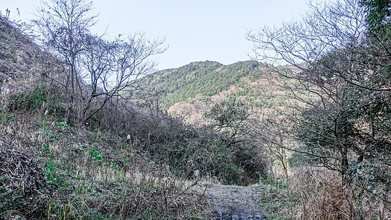 e0176993_09491090.jpg