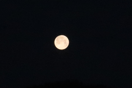 e0120896_10575937.jpg