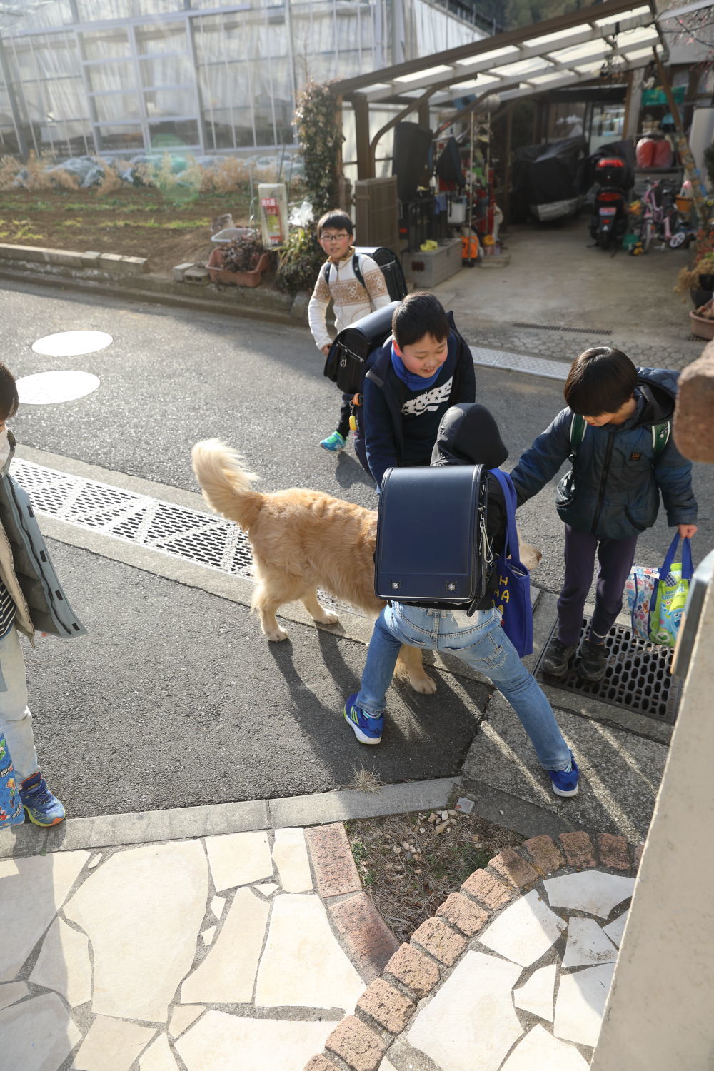 お庭のパトロールで過ごした日♪_b0275998_09381411.jpg
