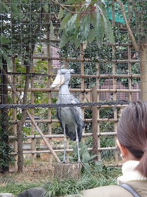 c0187298_2329163.jpg