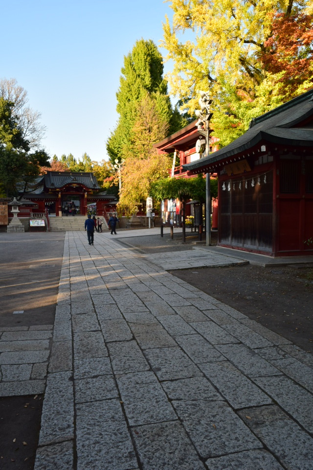 建築家・関根要太郎、秩父での少年時代_f0142606_23593061.jpg