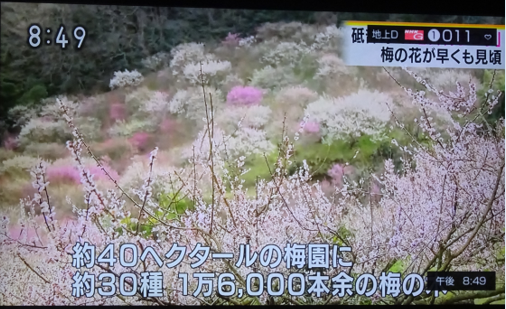 f0231709_11354739.png