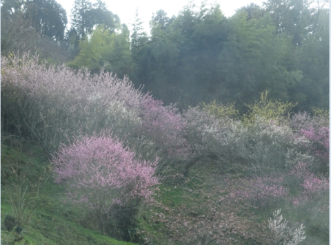 f0231709_20390401.png