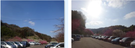 f0231709_21213716.png