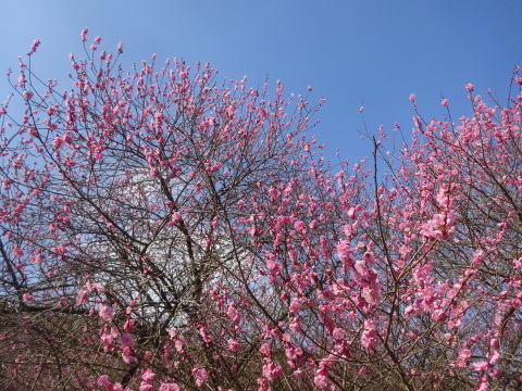 f0231709_22490200.jpg