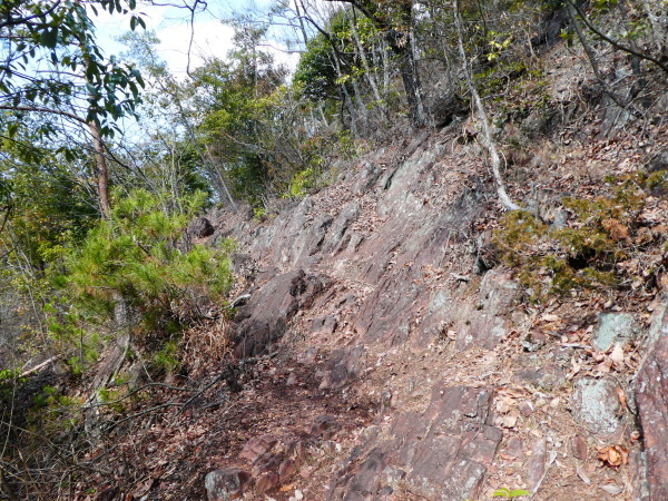 d0170615_21124311.jpg