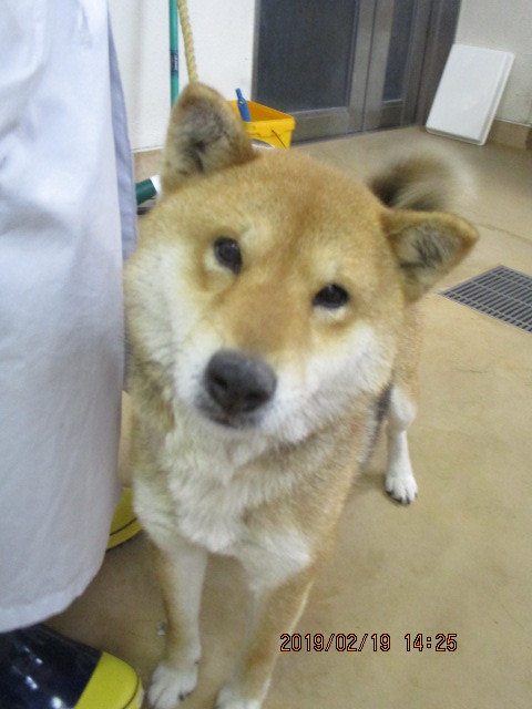 f0078320_02493845.jpg