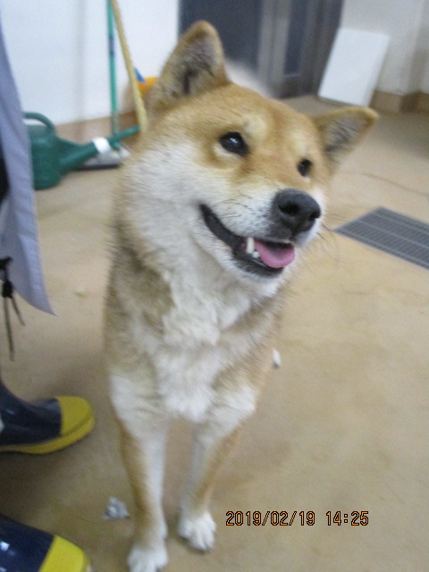 f0078320_02494930.jpg