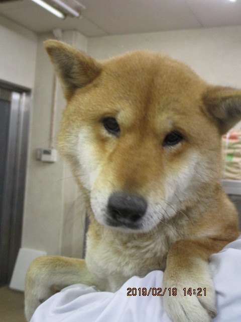 f0078320_02502574.jpg