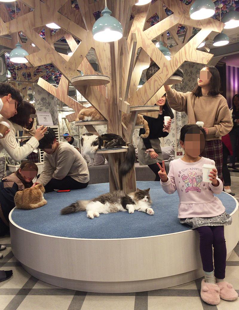 ねこカフェへ。_a0021523_01241440.jpg
