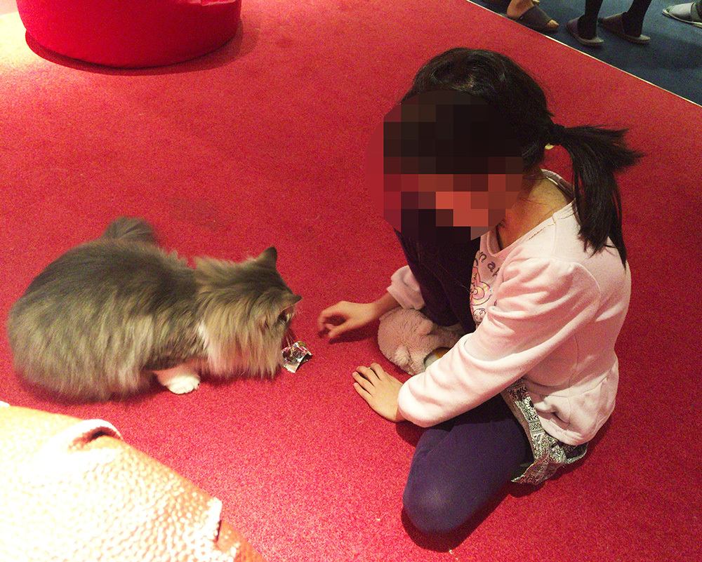 ねこカフェへ。_a0021523_01241543.jpg