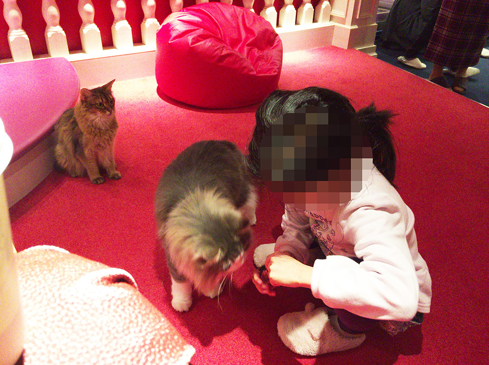 ねこカフェへ。_a0021523_01241581.jpg