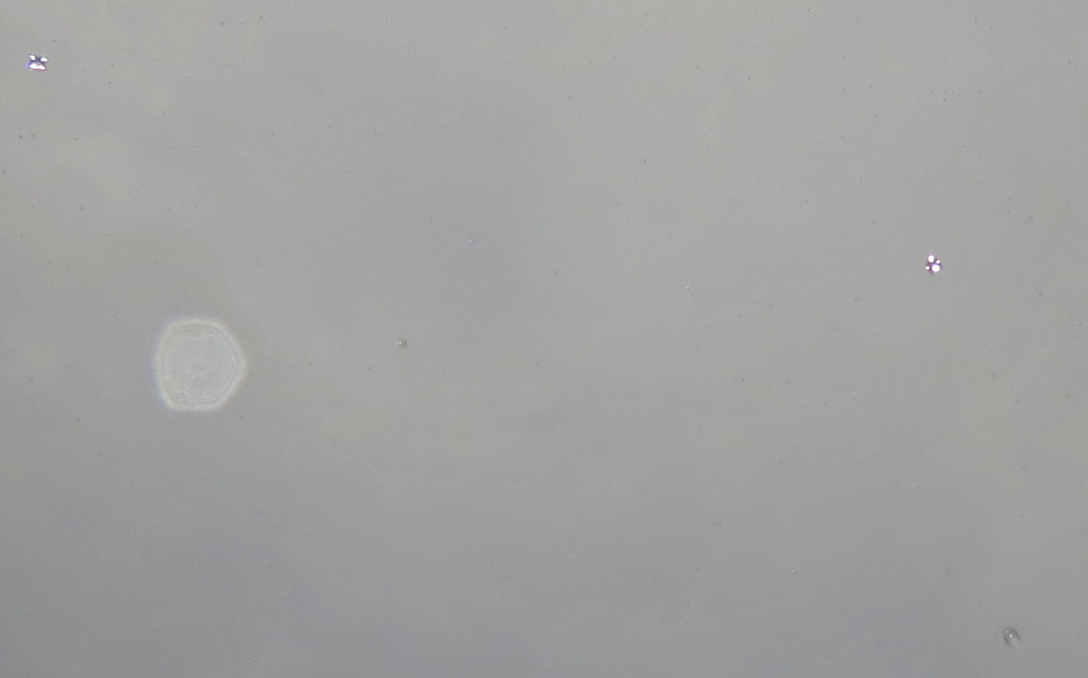 c0331825_20394080.jpg