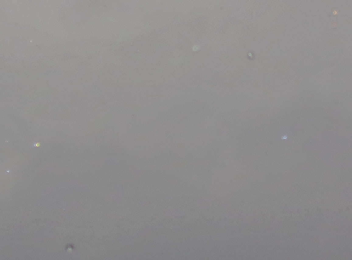 c0331825_20404462.jpg