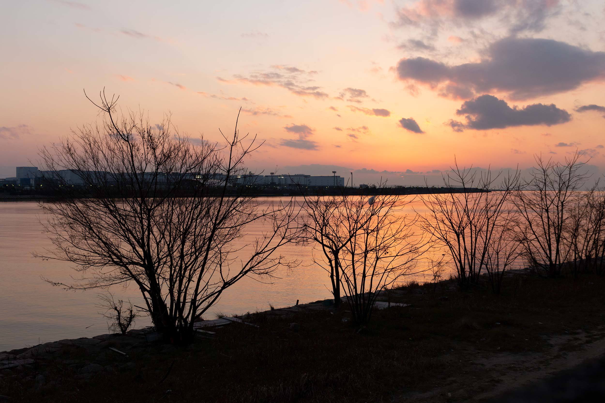 a0356328_12285248.jpg