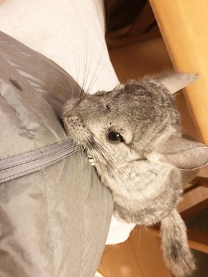 d0178136_14463079.jpeg