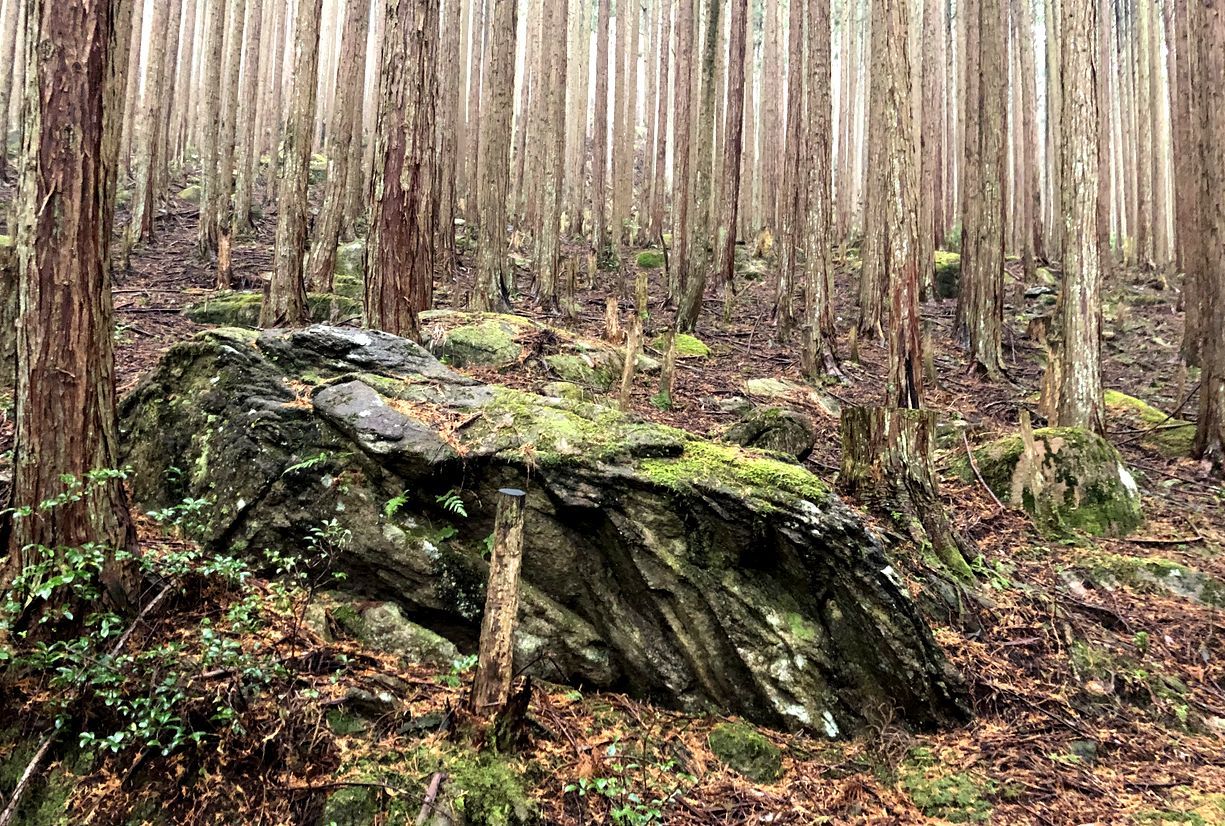嶽の立石 : 奈良・桜井の歴史と社会