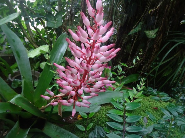 b0299042_21095637.jpg