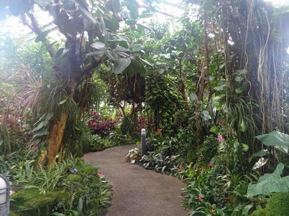 b0299042_21100171.jpg
