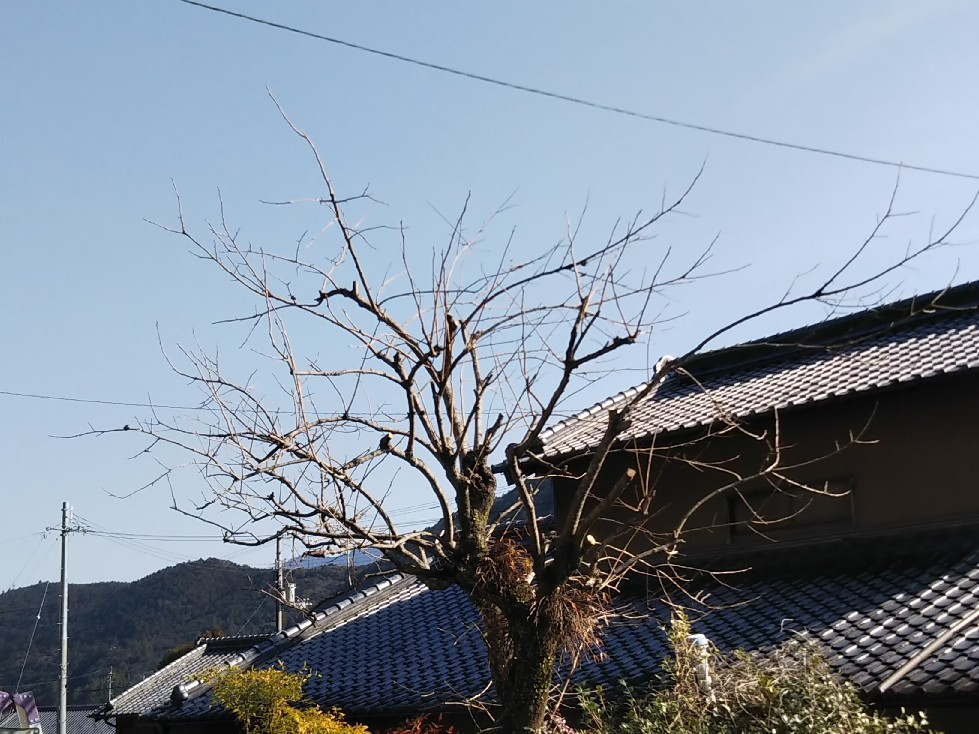 c0330749_16243066.jpg