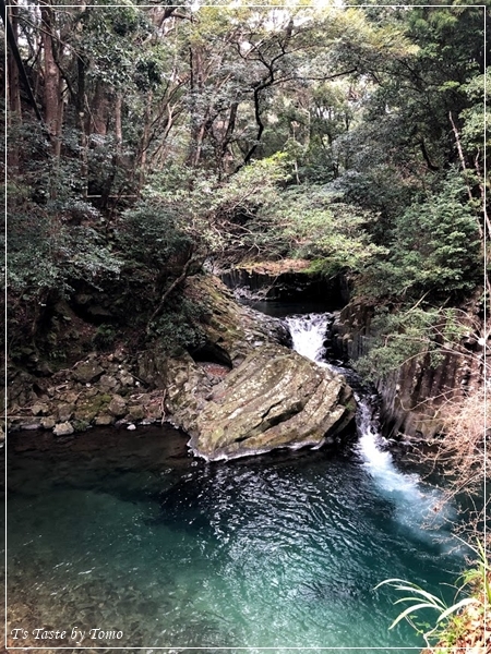 伊豆・箱根の旅①_f0329049_21353453.jpg