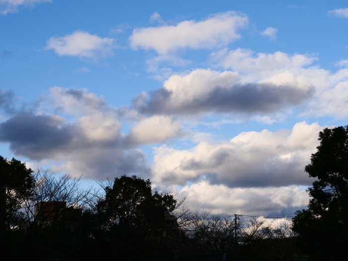 　　冬の雲　　２０１９-０２-２２　００：００ 　　_b0093754_21042473.jpg