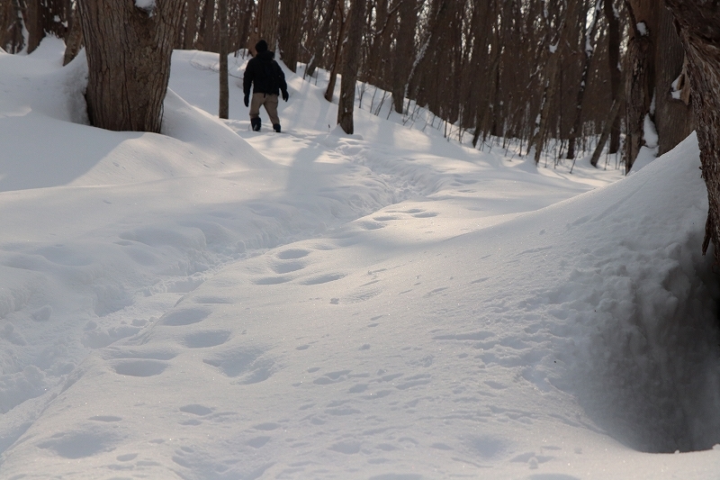 2月16日　雪が止んで晴れたので大沼へ　5_b0250154_00192480.jpg