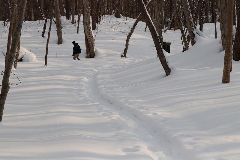 2月16日　雪が止んで晴れたので大沼へ　5_b0250154_00204812.jpg