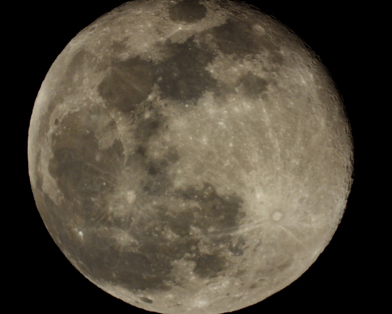 c0305565_17423110.jpg