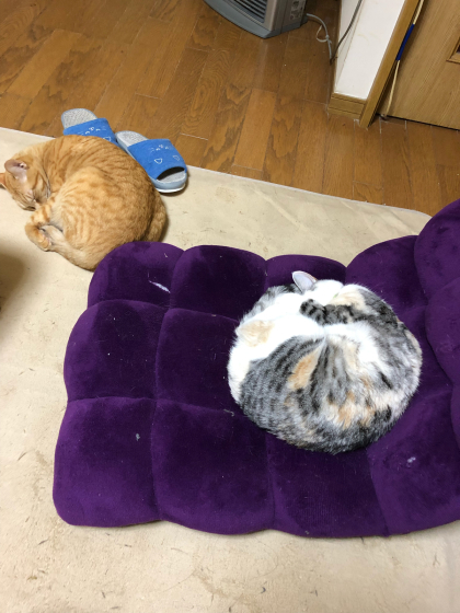 あるくと?_e0355177_15052856.jpg