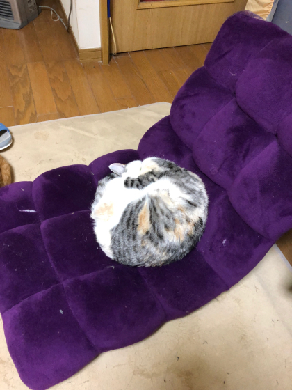 振り返ってみました①_e0355177_15052918.jpg
