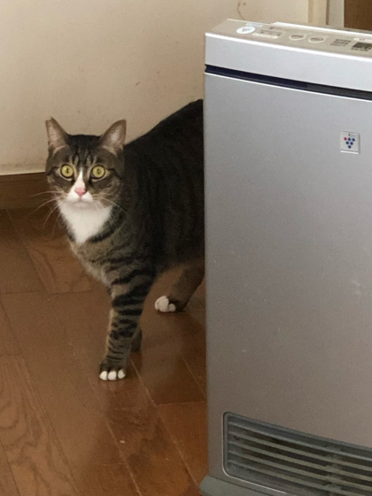 あるくと?_e0355177_15053365.jpg