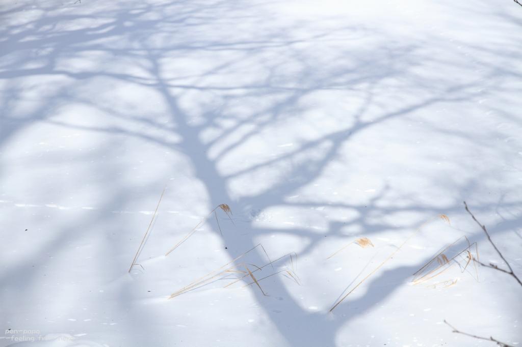 c0356480_19341491.jpg