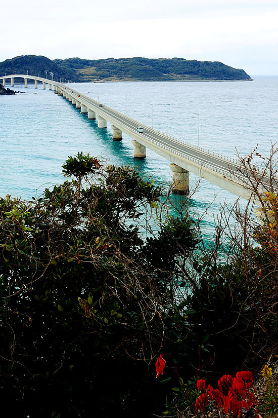 a0353681_20110947.jpg