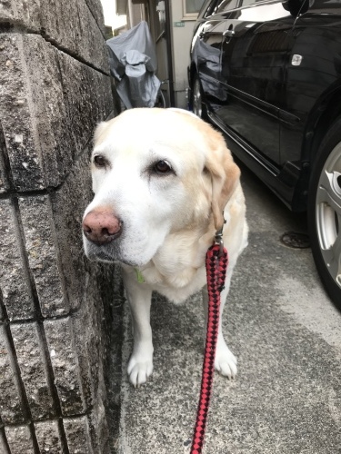 f0315081_22023885.jpeg