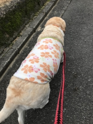 f0315081_22034134.jpeg