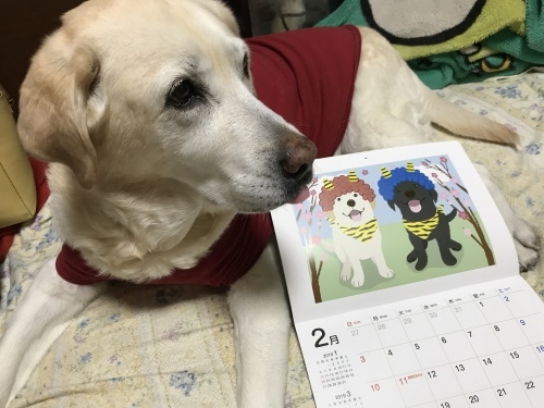 f0315081_22060733.jpeg