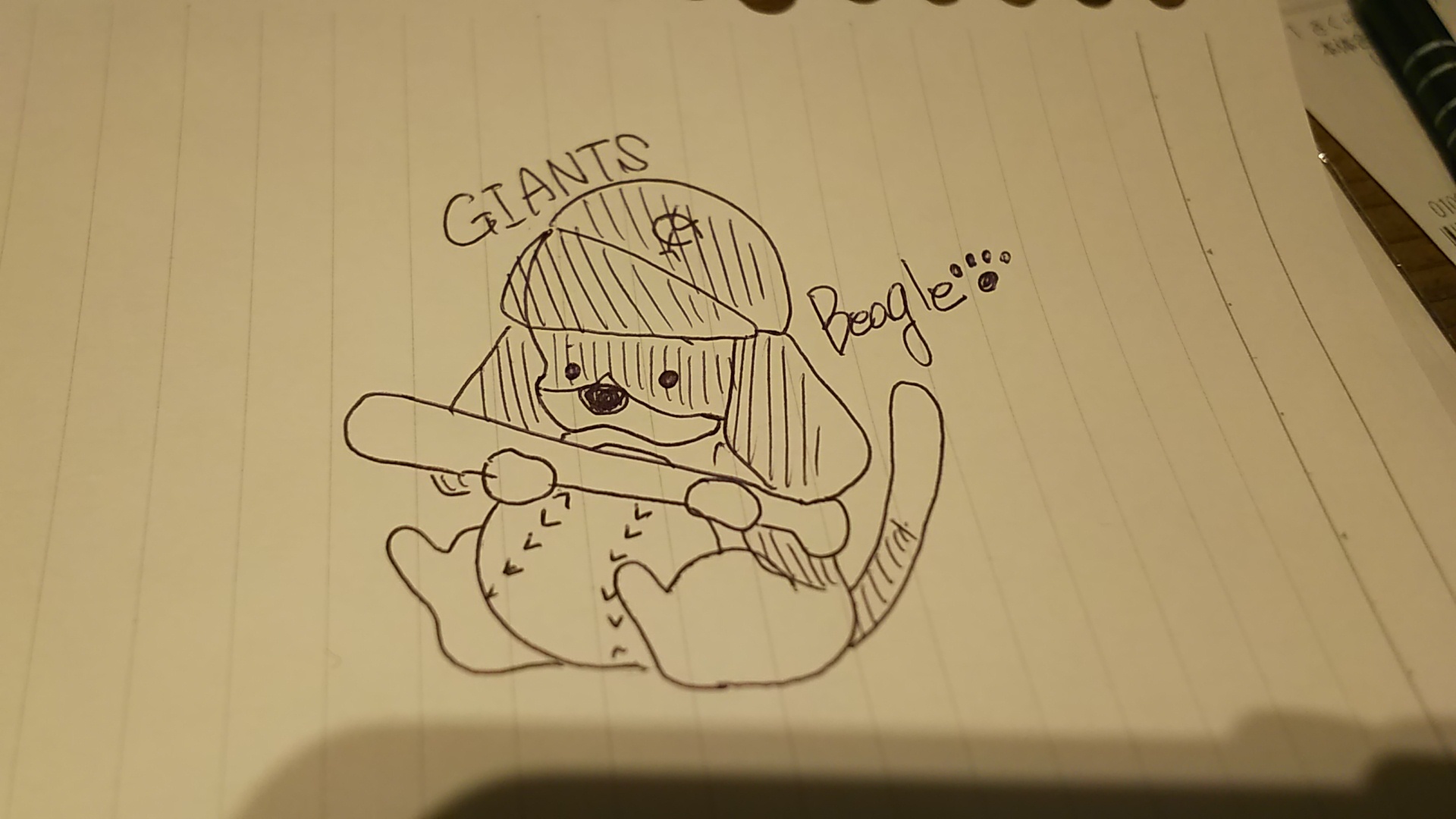 ビーグルズ🐾_f0357682_22003778.jpg