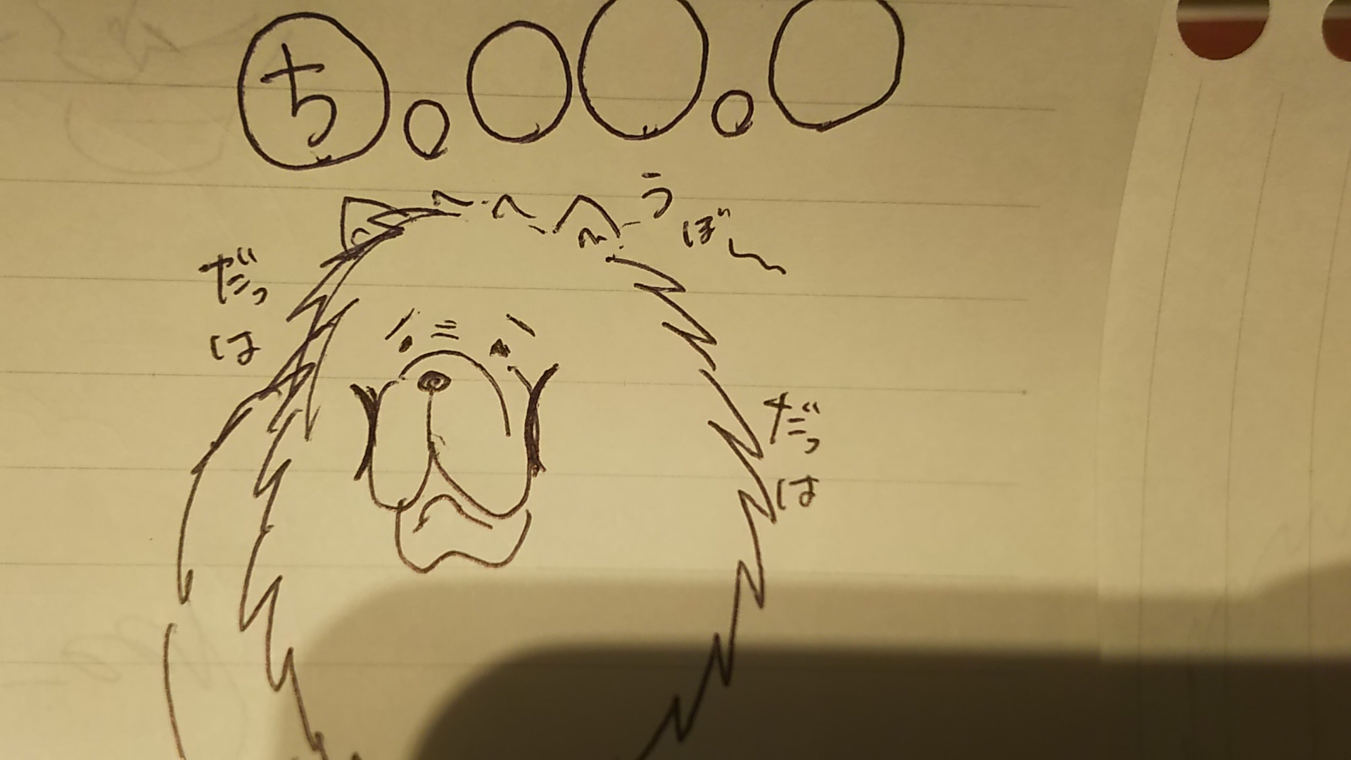 ビーグルズ🐾_f0357682_22022786.jpg