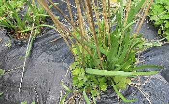 f0003283_08021646.jpg